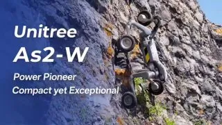Такую собаку я бы взял в поход, таскать мой рюкзак 🧗‍♀️